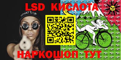 СК Кингисепп