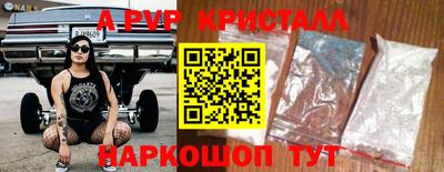 СК Кингисепп