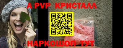 СК Кингисепп