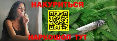 СК Кингисепп