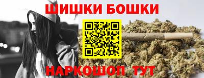 СК Кингисепп