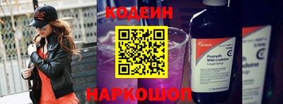 СК Кингисепп