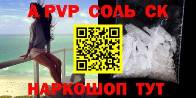 СК Кингисепп