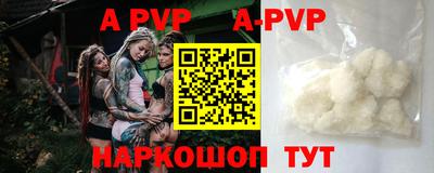 СК Кингисепп