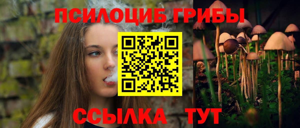 Галлюциногенные грибы Magic Shrooms  Вход с VPN  Россия 